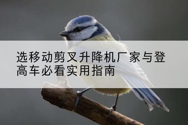 三明电动升降机厂家-选移动剪叉升降机厂家与登高车必看实用指南