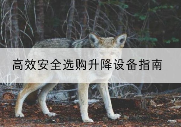 三明升降货梯厂家推荐-*安全选购升降设备指南
